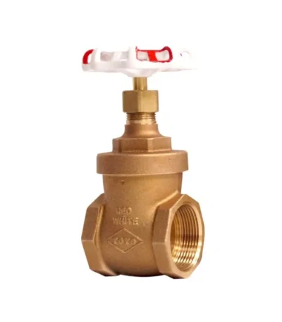 Llave P Directo Napoli 1 | Rocket Design